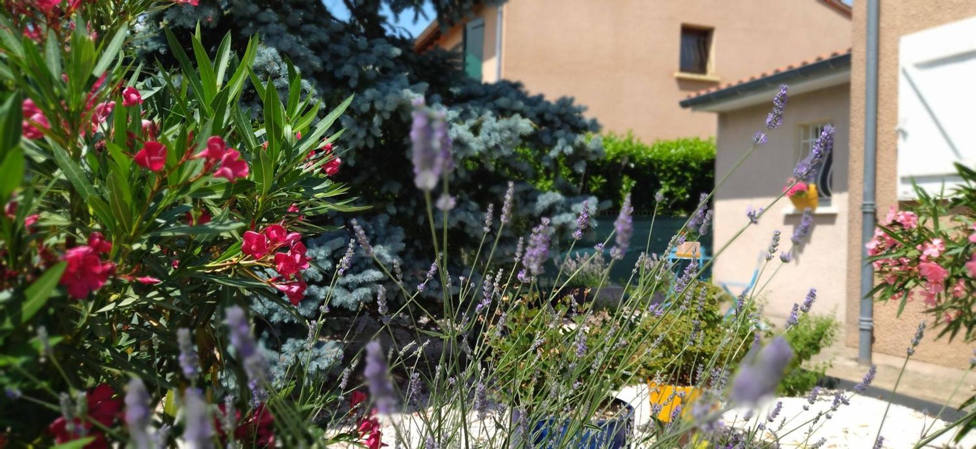 Bed and Breakfast Fleurs De Cosmos Albi Zewnętrze zdjęcie